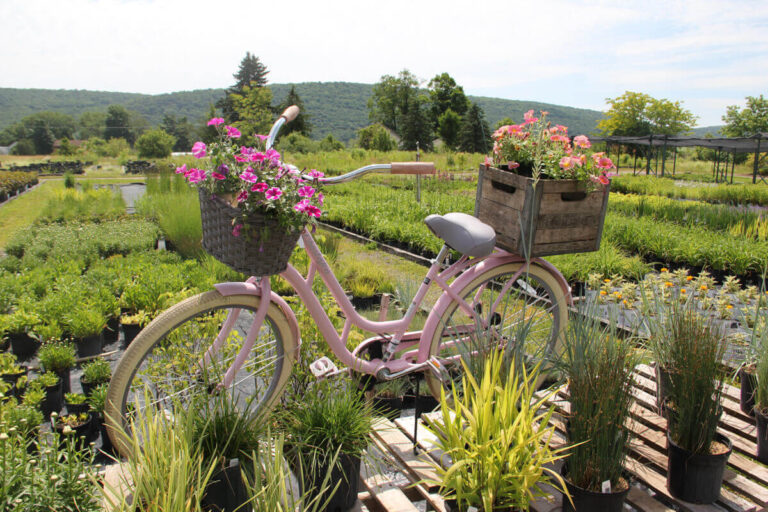 Gardening and Landscaping services at Little York Plantation in Little York, NY