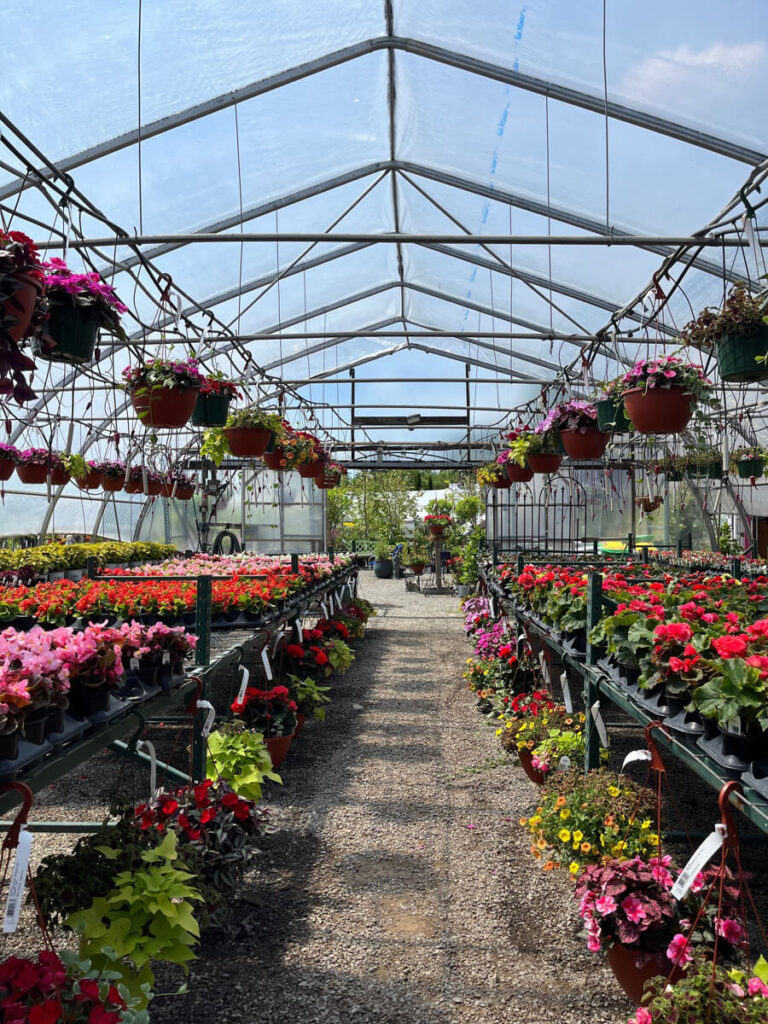 a greenhouse at Little York Plantation in Little York, NY