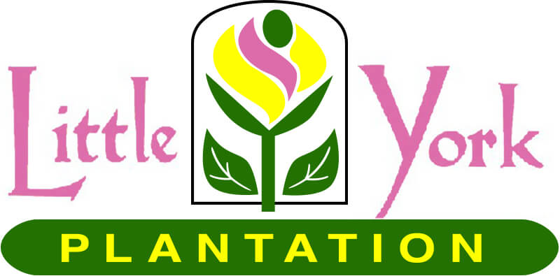 Little York Plantation logo